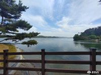 사는 이야기 - 충청남도 누리집(홈페이지) 충청남도 누리집(홈페이지)