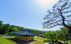 충청남도 누리집(홈페이지)
