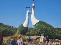 충남관광