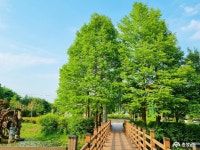 여행 - 신록의 호수를 바라보는 여유, 탑정호수변생태공원 - 충청남도 신록의 호수를 바라보는 여유, 탑정호수변생태공원