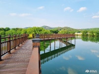 여행 - 신록의 호수를 바라보는 여유, 탑정호수변생태공원 - 충청남도 신록의 호수를 바라보는 여유, 탑정호수변생태공원