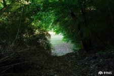 전체기사 - 충청남도 누리집(홈페이지) 충청남도 누리집(홈페이지)