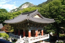 충남관광