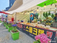 여행 - 화려한 컬러테라피의 세계, 유구색동수국정원 꽃축제 - 충청남도 화려한 컬러테라피의 세계, 유구색동수국정원 꽃축제