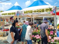 여행 - 화려한 컬러테라피의 세계, 유구색동수국정원 꽃축제 - 충청남도 화려한 컬러테라피의 세계, 유구색동수국정원 꽃축제