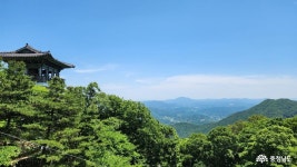전체기사 - 충남.충청남도 혁신도시 충청남도 혁신도시