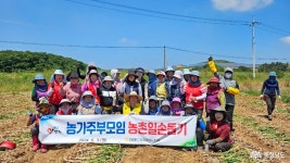 지역신문뉴스 - 안면도 농협, 내부 조직들 일손 돕기 앞장 - 충청남도 안면도 농협, 내부 조직들 일손 돕기 앞장