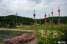 여행 - 초려 이유태 유허지와 용문서원 - 충청남도 초려 이유태 유허지와 용문서원