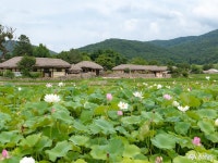 충남관광