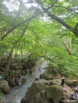 충남관광