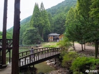 충남관광