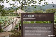 문화·역사 - 초록의 연꽃잎으로 가득 덮힌 골정지의 8월 - 충청남도 초록의 연꽃잎으로 가득 덮힌 골정지의 8월