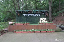 여행 - 여름 피서지로 이 곳을 추천합니다-영인산 자연휴양림 - 충청남도 여름 피서지로 이 곳을 추천합니다-영인산 자연휴양림