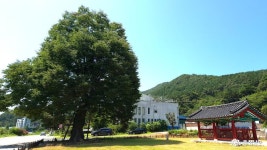 여행 - 새로 단장한 공주 소학동 효자향덕비 정려 - 충청남도 새로 단장한 공주 소학동 효자향덕비 정려
