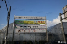 사는이야기 - 여름의 잠깐 여행으로 떠나본 금산 추부와 추어탕 한그릇 - 충청남도 여름의 잠깐 여행으로 떠나본 금산 추부와 추어탕 한그릇