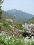 충남넷 모바일 눈꽃 소복히 쌓인 싸리골