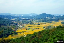 여행 - 충청남도 누리집(홈페이지) 충청남도 누리집(홈페이지)