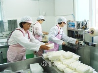 지역신문뉴스 - 마을을 먹여 살리는 마을기업 - 충청남도 마을을 먹여 살리는 마을기업
