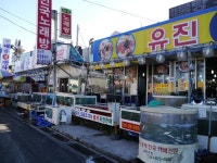 사는이야기 - 단언컨대, 백사장항 대하축제가 최고입니다 - 충청남도 "단언컨대, 백사장항 대하축제가 최고입니다"