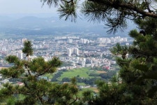 지역신문뉴스 - 백월산 휴식·휴양공간으로 체계적인 정비 필요하다 - 충청남도 백월산 휴식·휴양공간으로 체계적인 정비 필요하다