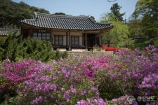 사는이야기 - 논산 청소년국악관현악단에 참여하세요 - 충청남도 논산 청소년국악관현악단에 참여하세요