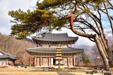 사는이야기 - 탑정호 백제상징광장에서 휴식 - 충청남도 탑정호 백제상징광장에서 휴식