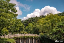 도정뉴스 - “부여를 세계적인 역사·문화·관광 도시로” - 충청남도 “부여를 세계적인 역사·문화·관광 도시로”