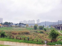 전체기사 - 충청남도 누리집(홈페이지) 충청남도 누리집(홈페이지)