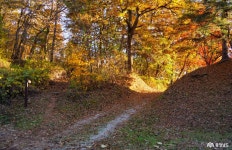 카드뉴스 - 충청남도 누리집(홈페이지) 충청남도 누리집(홈페이지)