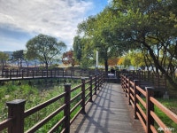 사는 이야기 - 충청남도 누리집(홈페이지) 충청남도 누리집(홈페이지)