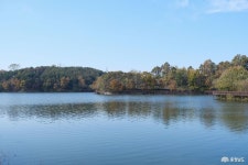 포토뉴스 - 충청남도 누리집(홈페이지) 충청남도 누리집(홈페이지)