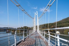 포토뉴스 - 충청남도 누리집(홈페이지) 충청남도 누리집(홈페이지)