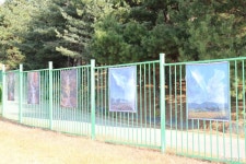 사는 이야기 - 충청남도 누리집(홈페이지) 충청남도 누리집(홈페이지)