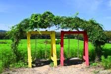 여행 - 충청남도 누리집(홈페이지) 충청남도 누리집(홈페이지)