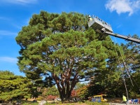 여행 - 충청남도 누리집(홈페이지) 충청남도 누리집(홈페이지)