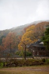 통통충남 - 입동이야기와 계룡산 신원사 가을 풍경 - 충남도청 미디어 입동이야기와 계룡산 신원사 가을 풍경
