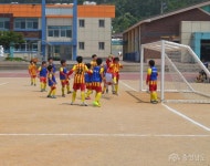 태안군수기, 유소년 축구대회 열려지역신문뉴스 - 태안군수기, 유소년 축구대회 열려 - 충남.넷
