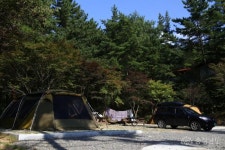 전체기사 - 희리산해송 자연휴양림에서 산림욕하세요 - 충남넷 미디어 희리산해송 자연휴양림에서 산림욕하세요