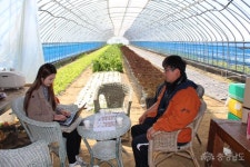 전체기사 - 젊은 농부들이 말해주는 농촌이야기 - 충남.넷 젊은 농부들이 말해주는 농촌이야기