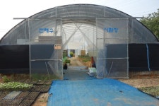 베스트기사 - 산과들 전해수 쌈채농장을 찾아서 - 충남넷 미디어 산과들 전해수 쌈채농장을 찾아서