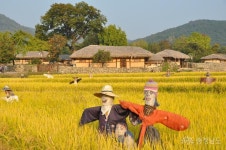 전체기사 - 가을이 있는 풍경 외암민속마을 - 충남넷 미디어 가을이 있는 풍경 외암민속마을