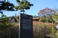 전체기사 - 천년고찰 안국사지의 아늑함 - 충남넷 미디어 천년고찰 안국사지의 아늑함