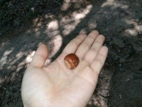 사는이야기 - 용봉산을 걸으며 몸과 마음이 가벼워진 시간 - 충남.넷 용봉산을 걸으며 몸과 마음이 가벼워진 시간