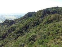 사는이야기 - 용봉산을 걸으며 몸과 마음이 가벼워진 시간 - 충남.넷 용봉산을 걸으며 몸과 마음이 가벼워진 시간
