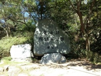 사는이야기 - 용봉산을 걸으며 몸과 마음이 가벼워진 시간 - 충남.넷 용봉산을 걸으며 몸과 마음이 가벼워진 시간