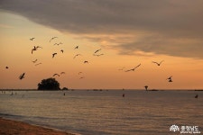 전체기사 - [홍성] 건설기계연합회장 장택진 이임, 조정호 취임 - 충남넷 미디어 [홍성] 건설기계연합회장 장택진 이임, 조정호 취임