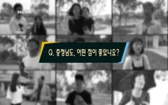 시군뉴스 - 신관동 한아름아파트 태극기 물결 - 충남.넷 신관동 한아름아파트 태극기 물결