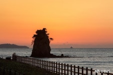 시군뉴스 - 가을걷이 후 논물가두기 하세요 - 충남.넷 가을걷이 후 논물가두기 하세요