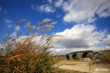 칼럼 - 진정한 영웅을 가려내는 혜안 - 충남넷 미디어 진정한 영웅을 가려내는 혜안