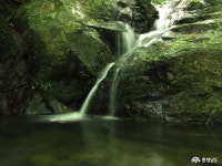 생생뉴스(목록) - 충청남도 생생뉴스 - 충청남도